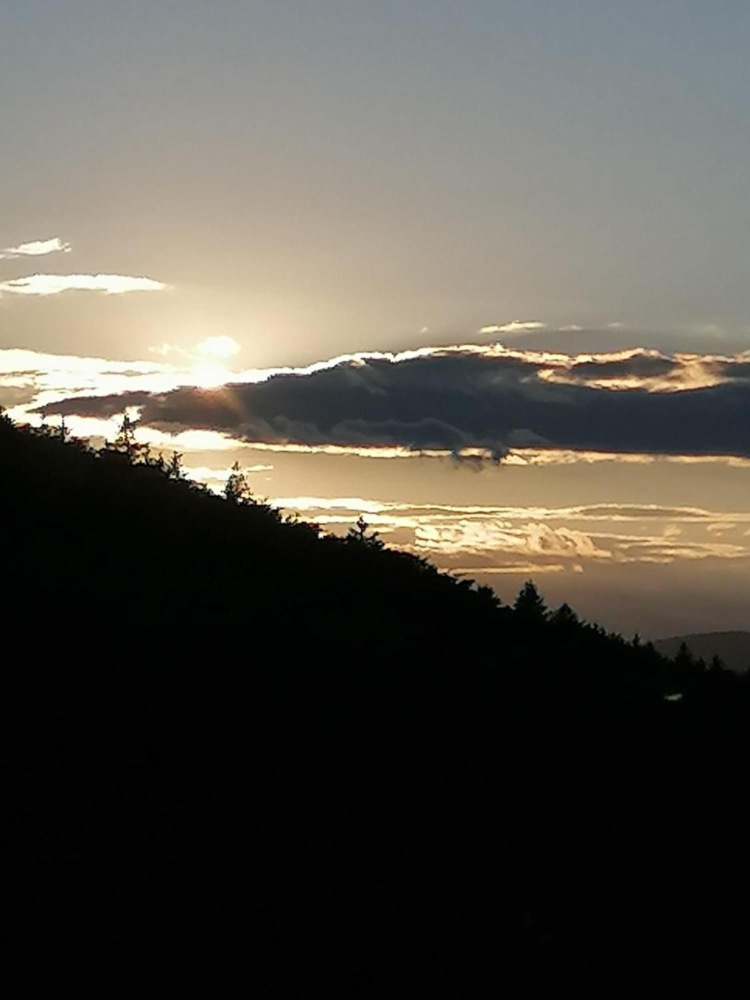 37 Sonnenwald *