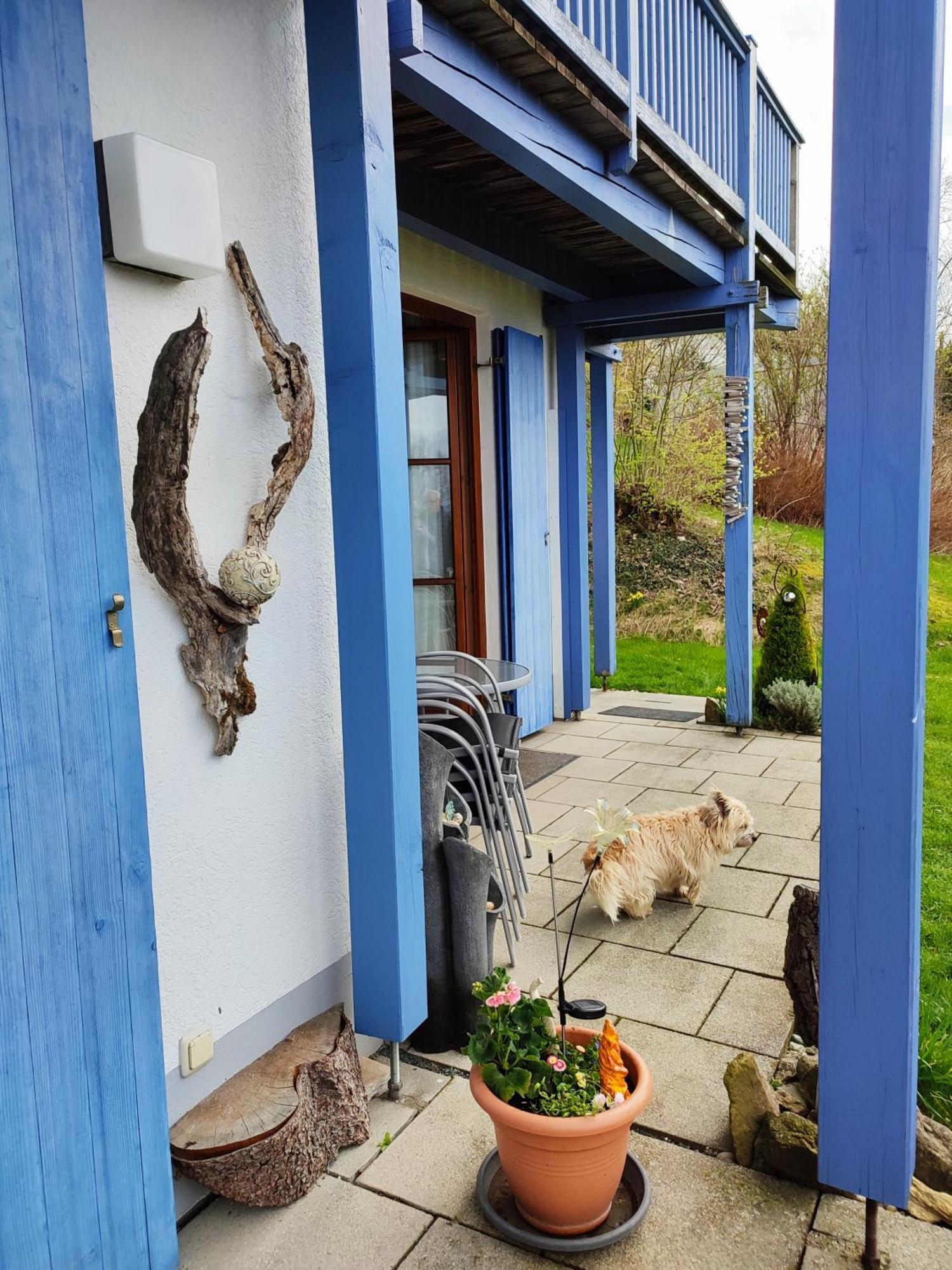 37 Sonnenwald Langfurth (Freyung-Grafenau)