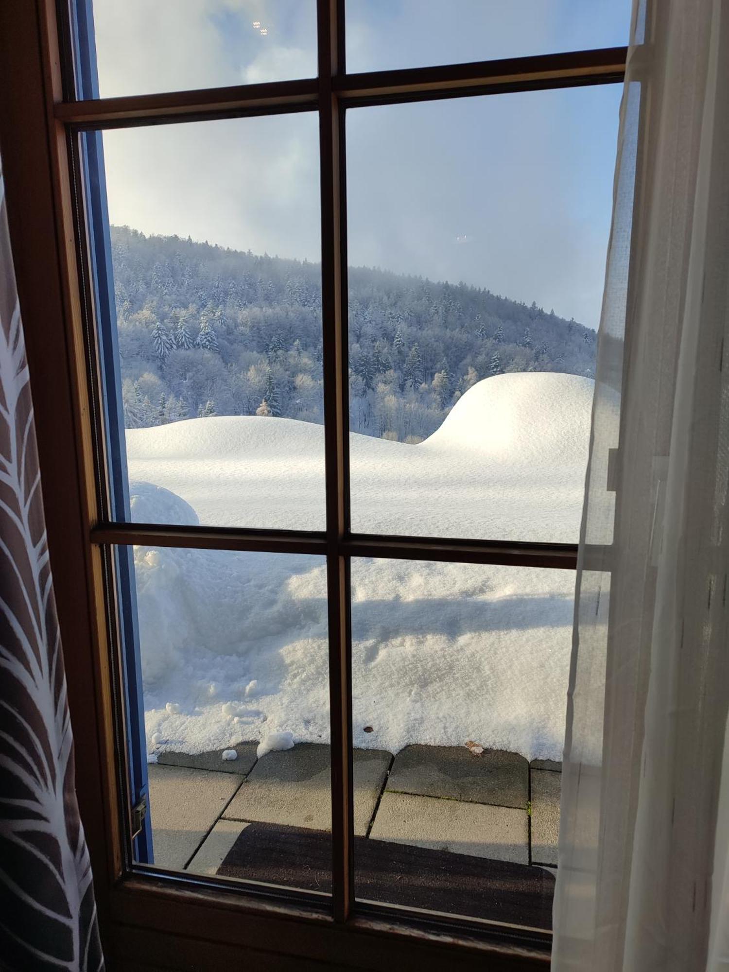37 Sonnenwald